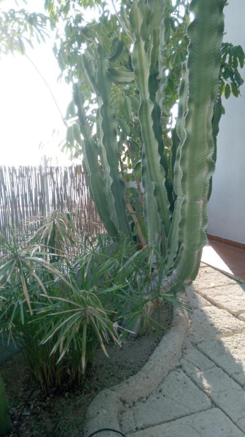 Apartamento Pardela Costa Adeje  ภายนอก รูปภาพ